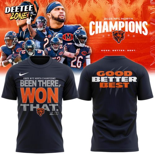 Men’s Nike Navy Chiago Bears 2025 NFC North Champions Special T-shirt